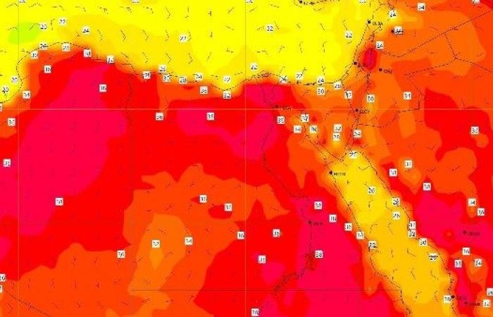 أخبار مصر : على أغلب الأنحاء.. الأرصاد تحذر من طقس الساعات المقبلة