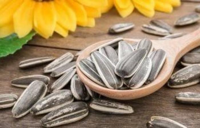 صحة وطب : تسالي وصحة.. فوائد لا تتوقعها للب السورى
