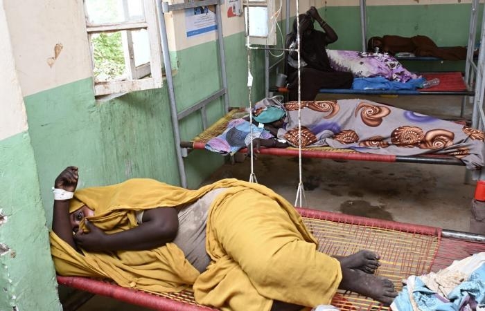 أخبار العالم : السودان.. تسجيل 3 وفيات بسبب الكوليرا مع استمرار جهود التطعيم والتعقيم