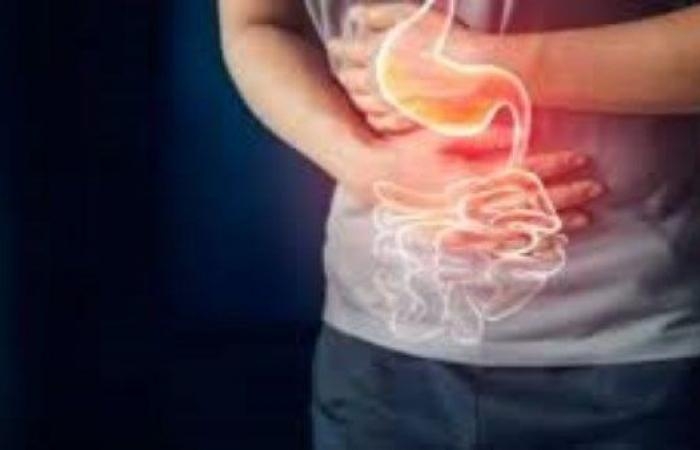 أخبار مصر : 7 أطعمة صيفية خارقة تحسن من صحة الأمعاء..فما هي؟