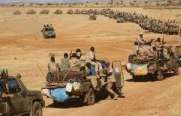 أخبار عربية : الفاو: 80% من القوة العاملة في السودان يعملون في الزراعة والرعي