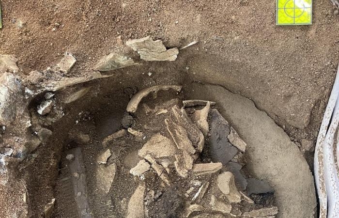 أخبار العالم : لغز وعاء غامض مدفون قبل ألف عام فكّكه العلماء.. ما هو؟