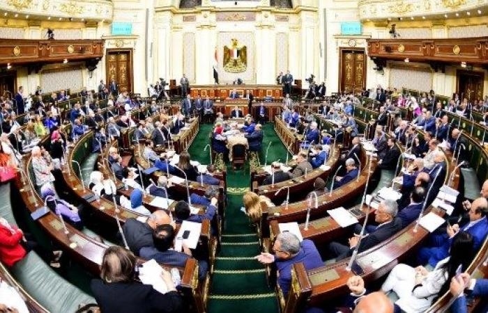 أخبار مصر : برلماني: توجيهات الرئيس تعزّز ثقة المستثمرين وتفتح آفاقًا جديدة للتعاون مع أمريكا