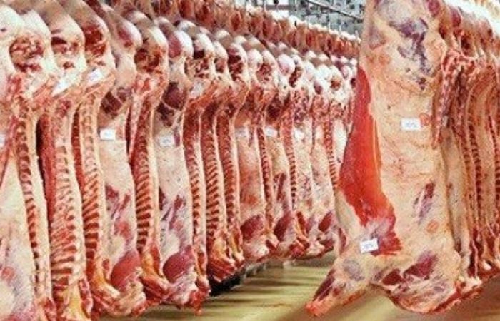 أخبار مصر : أخصائي رقابة صحية: المجازر الحكومية أمان لصحة الإنسان