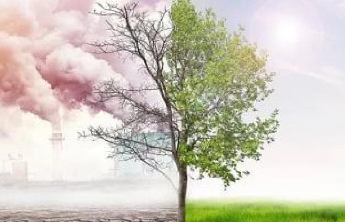 أخبار التكنولوجيا : دراسة: تغير المناخ يقلل من إمكانات طاقة الرياح