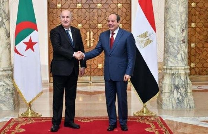 أخبار مصر : تعاون مصري جزائري لإقامة مشروعات تنموية في الدول الإفريقية