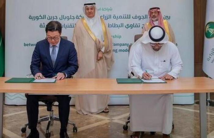 إقتصاد : توقيع اتفاقية لتوطين إنتاج تقاوي البطاطس في السعودية