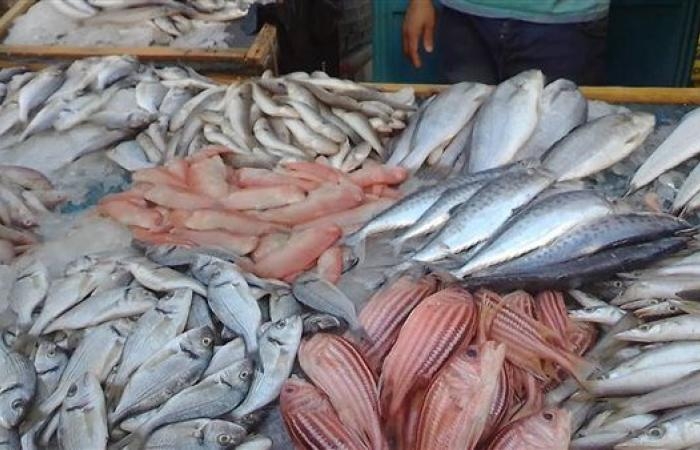 أخبار العالم : أسعار الأسماك والمأكولات البحرية بالغربية اليوم السبت 31 مايو 2025