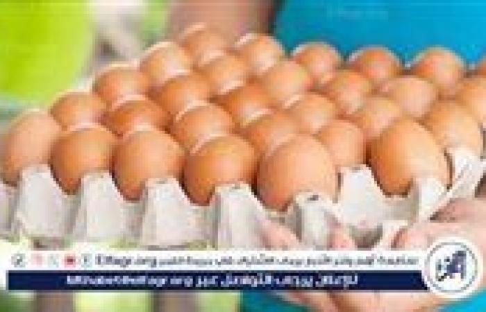 أخبار العالم : أسعار طبق البيض اليوم السبت 31-5-2025 في قنا