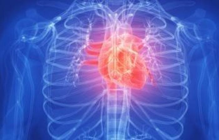 صحة وطب : ما هو "انسداد القلب".. 8 علامات تحذيرية مبكرة لا تتجاهلها