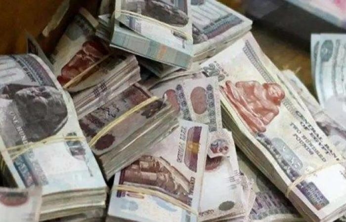 زيادات مالية تاريخية لتحسين دخل العاملين بالدولة .. وخبير يعلق