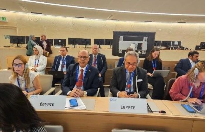 أخبار مصر : قرار تاريخي.. العمل الدولية تعتمد فلسطين عضوا مراقبا
