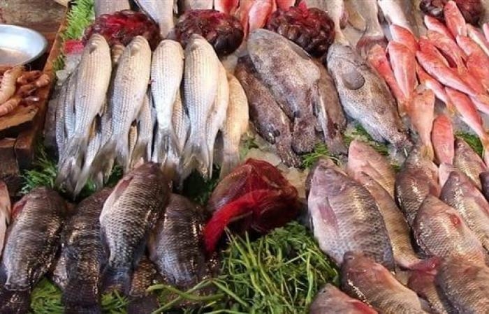 أخبار مصر : لهذه الأسباب.. تناول السمك مرة في الأسبوع