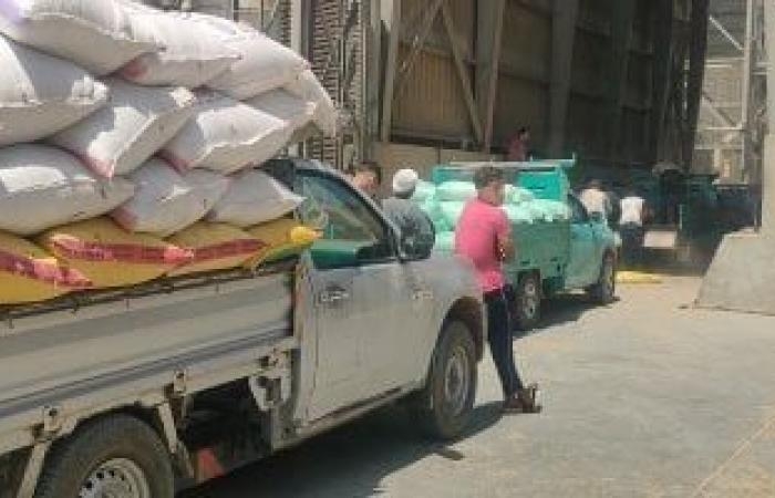 محافظات : توريد 223 ألف طن أقماح محلية بكفر الشيخ وانتظام صرف مستحقات المزارعين