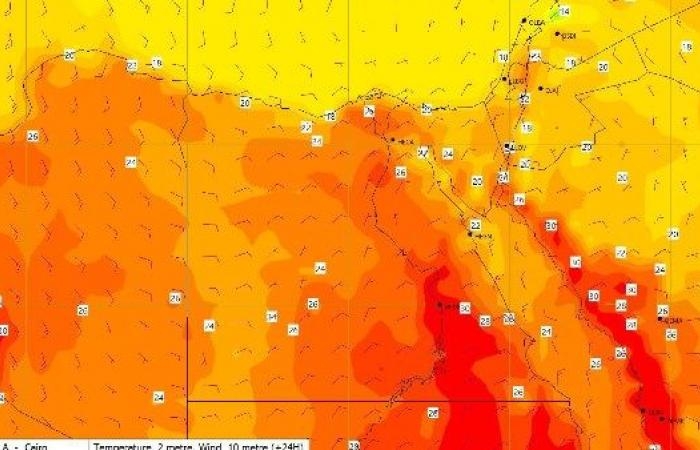 أخبار مصر : الأرصاد تعلن ارتفاع الحرارة بداية من الجمعة.. فيديو