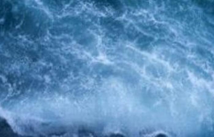 أخبار التكنولوجيا : من الشعاب المرجانية إلى سلاسل الغذاء.. آثار تدهور المحيطات تمتد إلى البشر
