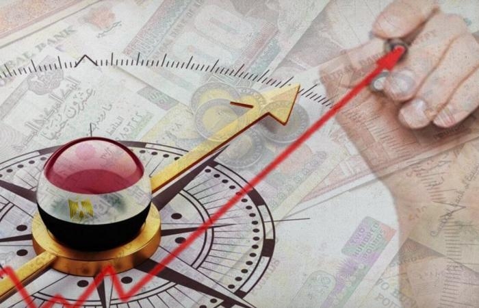 أخبار مصر : بهاء الدين: خروج الدولة من الاقتصاد بشكل كامل حديث غير واقعى