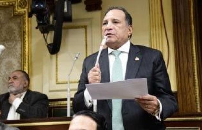 أخبار السياسة : برلمانية الشعب الجمهورى: ثورة 30 يونيو أنقذت مصر من الدخول فى نفق مظلم