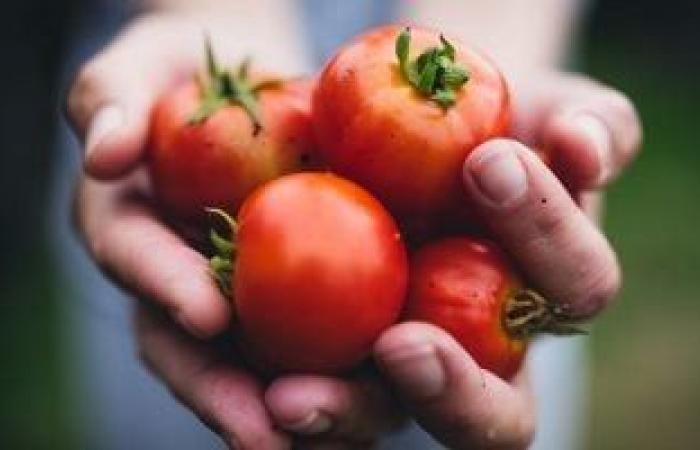 صحة وطب : 5 أطعمة باللون الأحمر تحميك من أمراض القلب