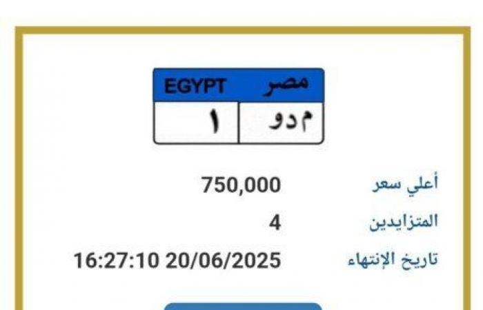 اقتربت من مليون جنيه.. مزايدة نارية على لوحة سيارة مميزة