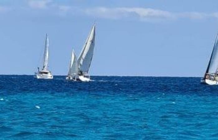 تقارير مصرية : وزارة السياحة تطلق حملة دولية للترويج لسياحة اليخوت تحت شعار Sail to Egypt