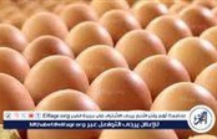 أخبار العالم : أسعار طبق البيض اليوم السبت 21-6-2025 في الدقهلية