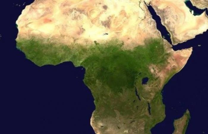 أخبار مصر : علماء: مناخ أفريقيا كان مستقرا قبل 2.5 مليون عام.. وتاريخ تطور الإنسان بحاجة لمراجعة