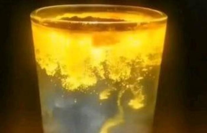 صحة وطب : الكركم والفلفل الأسود مزيج توابل يحميك من الأمراض ويعزز مناعتك
