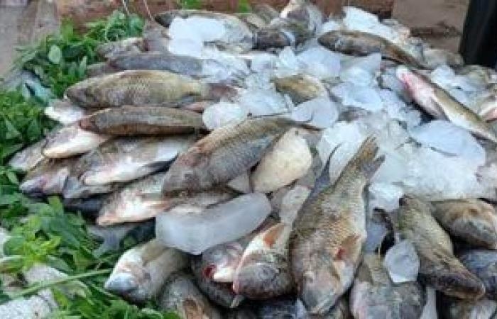 محافظات : سعر السمك اليوم الخميس 26-6-2025 فى سوق بحرى بالإسكندرية