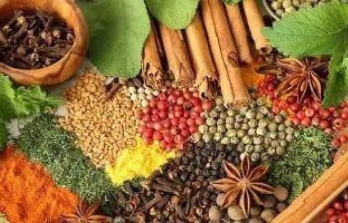 صحة وطب : النعناع والقرفة أبرزها..8 أعشاب تناولها منقوعة لحصد فوائدها الصحية