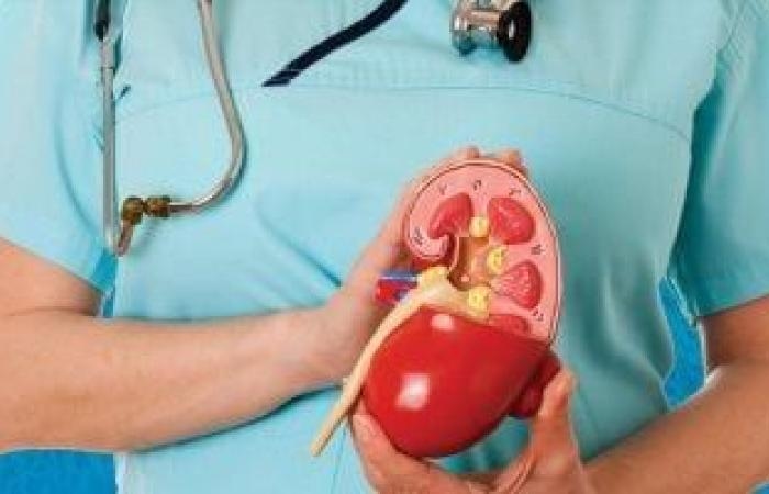صحة وطب : لا يشترط الجراحة دائمًا.. عادات بسيطة تساعد في علاج حصوات الكلى