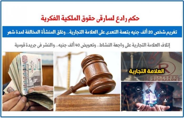 أخبار السياسة : حكم رادع لسارقى حقوق الملكية الفكرية والتعدى على العلامات التجارية.. برلماني