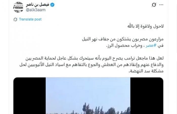 أخبار العالم : فيديو متداول لـ"جفاف أراضي محصول الأرز" في مصر.. ما حقيقته؟
