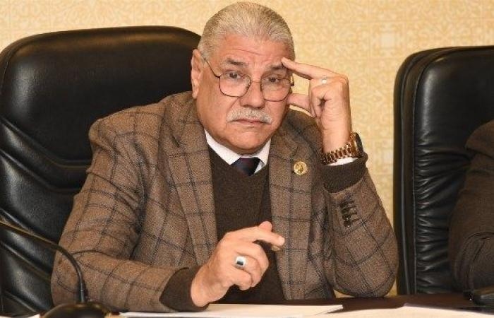 أخبار مصر : برلماني: توفير الحكومة للسلع بأسعار مناسبة أصبحت من ضروريات الحياة للمواطنين