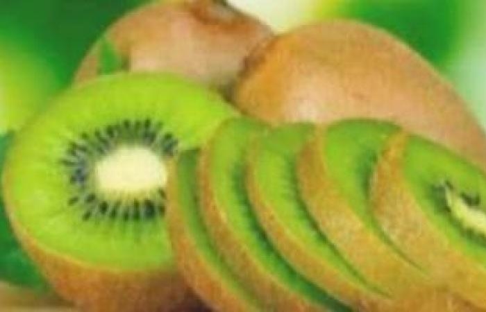 صحة وطب : كيف يساعد الكيوى فى علاج الإمساك وتحسين أعراض القولون العصبى؟