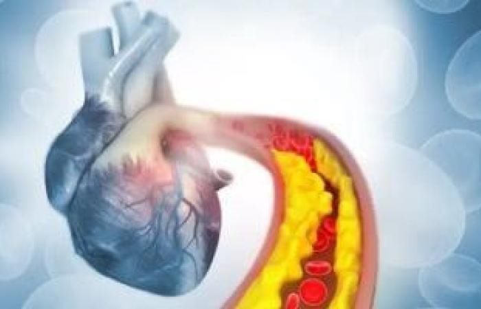 صحة وطب : ابدأ يومك بهذه الأطعمة.. تقلل الكوليسترول وتعزز صحة القلب