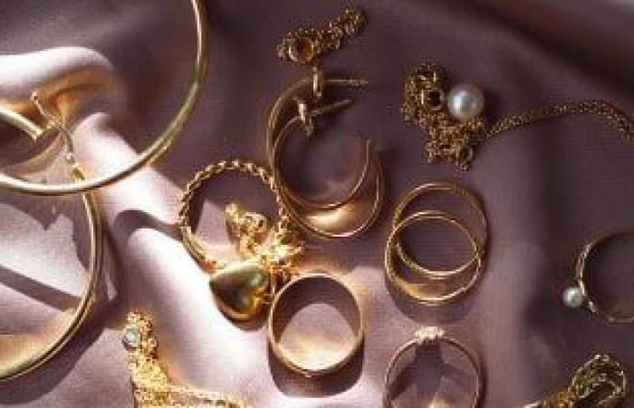 الأخبار العالمية : سرقة مجوهرات فاخرة بقيمة 350 ألف يورو من زوجين على متن قطار سريع فى فرنسا