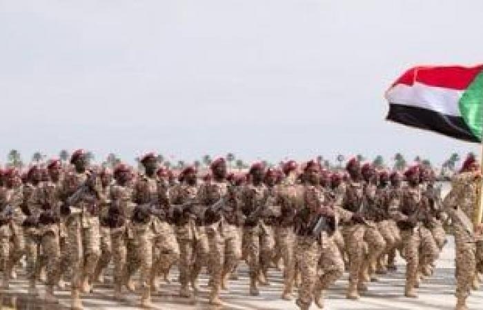 أخبار عربية : الجيش السودانى يصد هجوما شنته "قوات الدعم السريع" على الفاشر