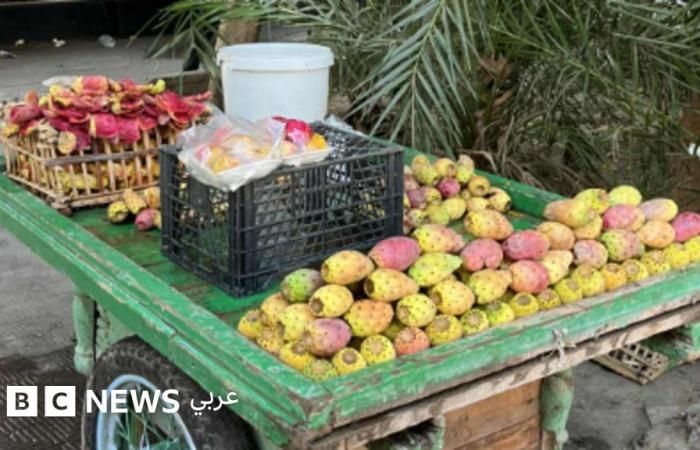 أخبار العالم : التين الشوكي "كنز غذائي" ربما لا يعرفه كثيرون