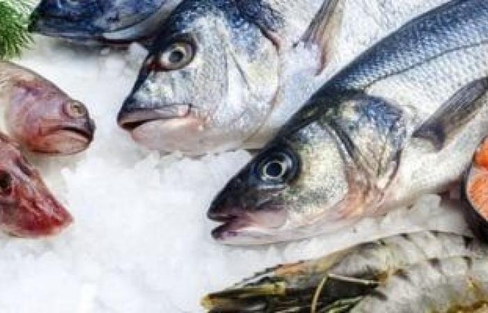 صحة وطب : 5 أنواع من المأكولات البحرية تحتوى على دهون صحية وتقوى المناعة