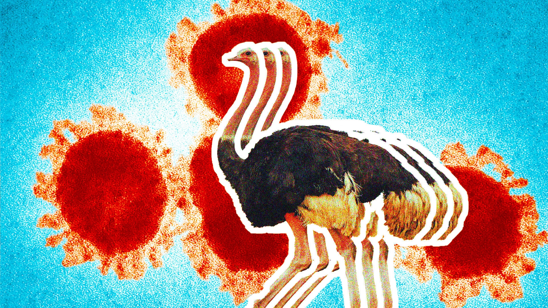 A BC ostrich cull has brought out climate conspiracies — and RFK Jr.