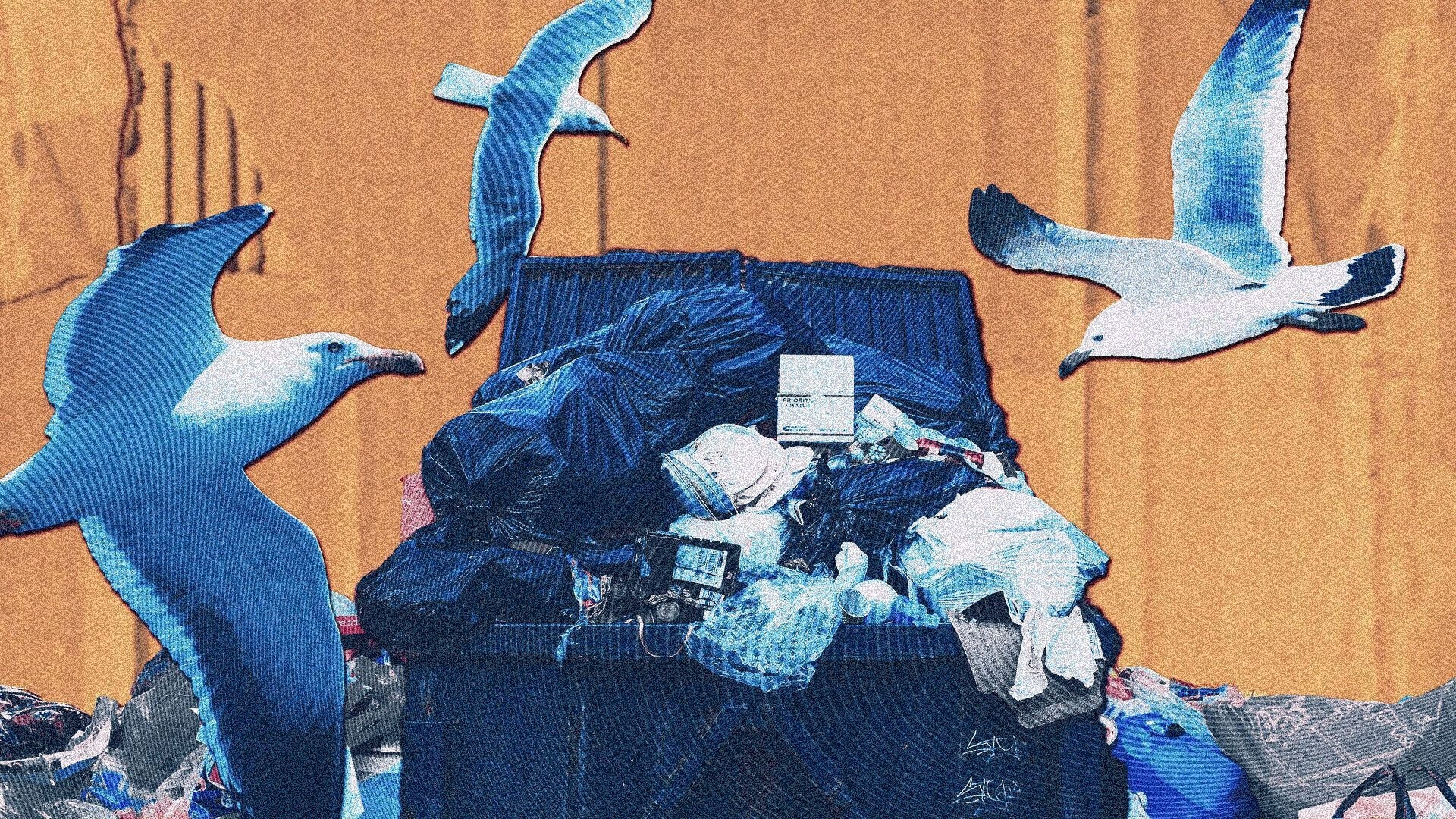 Ford government proposes major rollback of Blue Box recycling rules