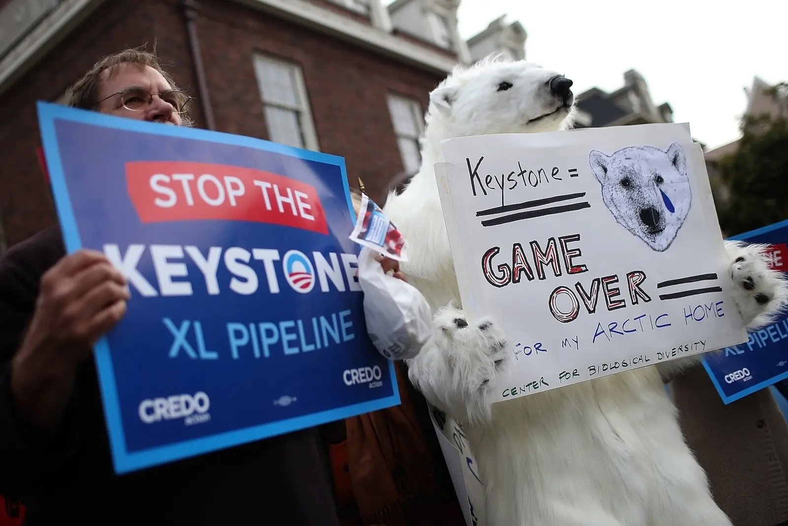 Local climate activism leads to ‘remarkable' gains, report shows