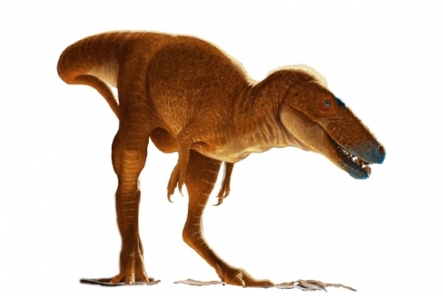 New T-Rex ancestor discovered in drawers of Mongolian institute