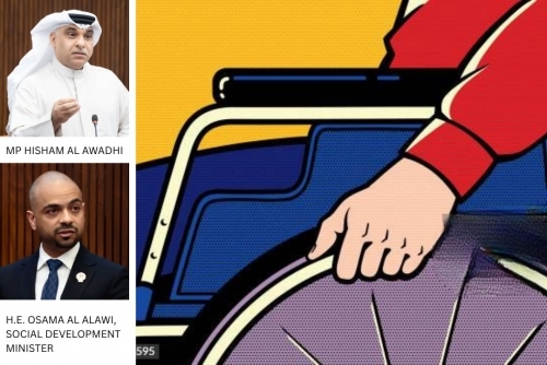 MP questions disability support after wheelchair user offered driving job