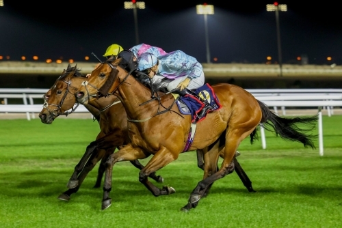 Bahrain prepares for historic King's Cup horse racing festival