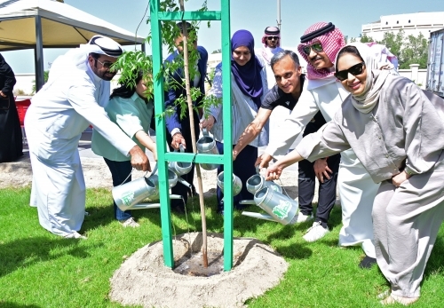 NBB drives green push