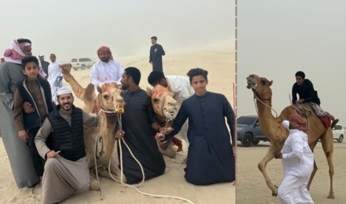 Traditional Camel Races Kick Off