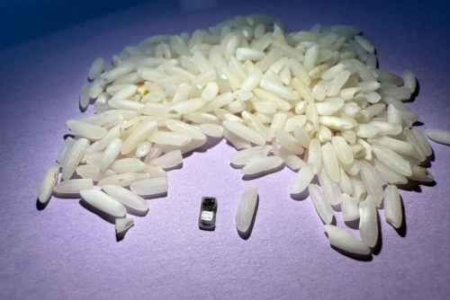 World's tiniest pacemaker is smaller than grain of rice