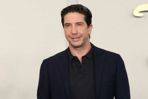 David Schwimmer went through a phase of not being able to bear hearing the ‘Friends' theme tune